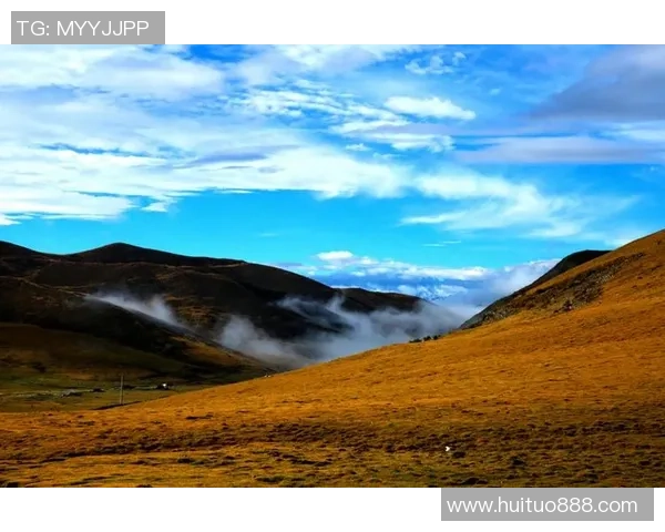 何思雨的成长之路与梦想追寻:从平凡到卓越的心灵旅程 何思雨的成长之路与梦想追寻:从平凡到卓越的心灵旅程