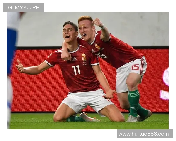 芬兰与匈牙利足球对决9月9日精彩回顾与赛后分析