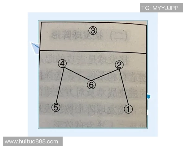 成都排球队的战术控制与发展趋势深度解析